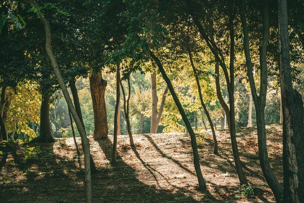 Tamalou : comprendre et accompagner le quotidien de ceux qui disent "j'ai mal où ?"